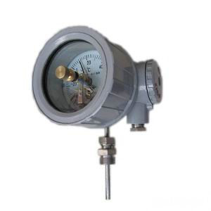 WSSX-B隔爆雙(shuang)金屬溫度(du)計